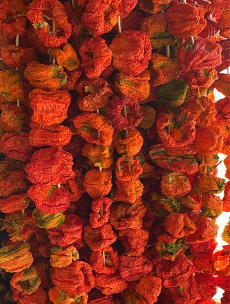 Kuru Dolmalık Yeşil Acı Biber (50 Adet)